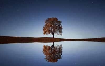 Healthy Coping with Diabetes